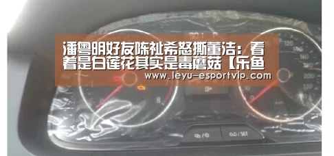 乐鱼电竞赛事
