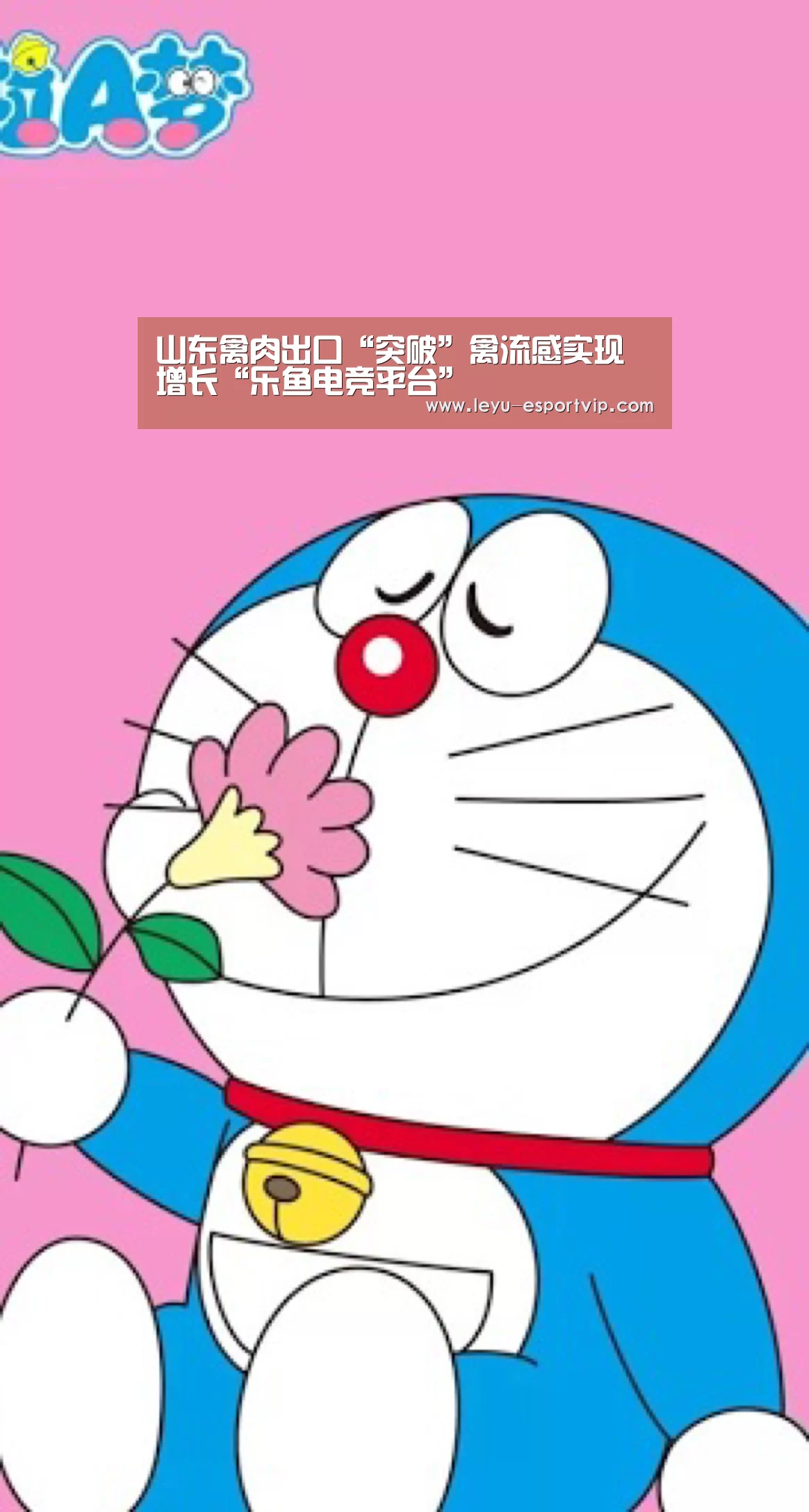 乐鱼电竞平台
