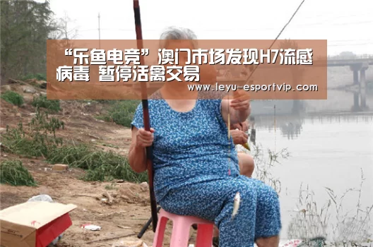 “乐鱼电竞”澳门市场发现H7流感病毒 暂停活禽交易(图2) 乐鱼电竞赛事