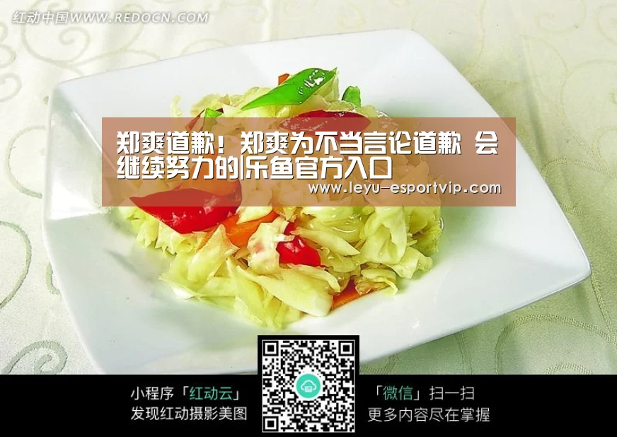 郑爽道歉!郑爽为不当言论道歉 会继续努力的|乐鱼官方入口(图3) 乐鱼电竞